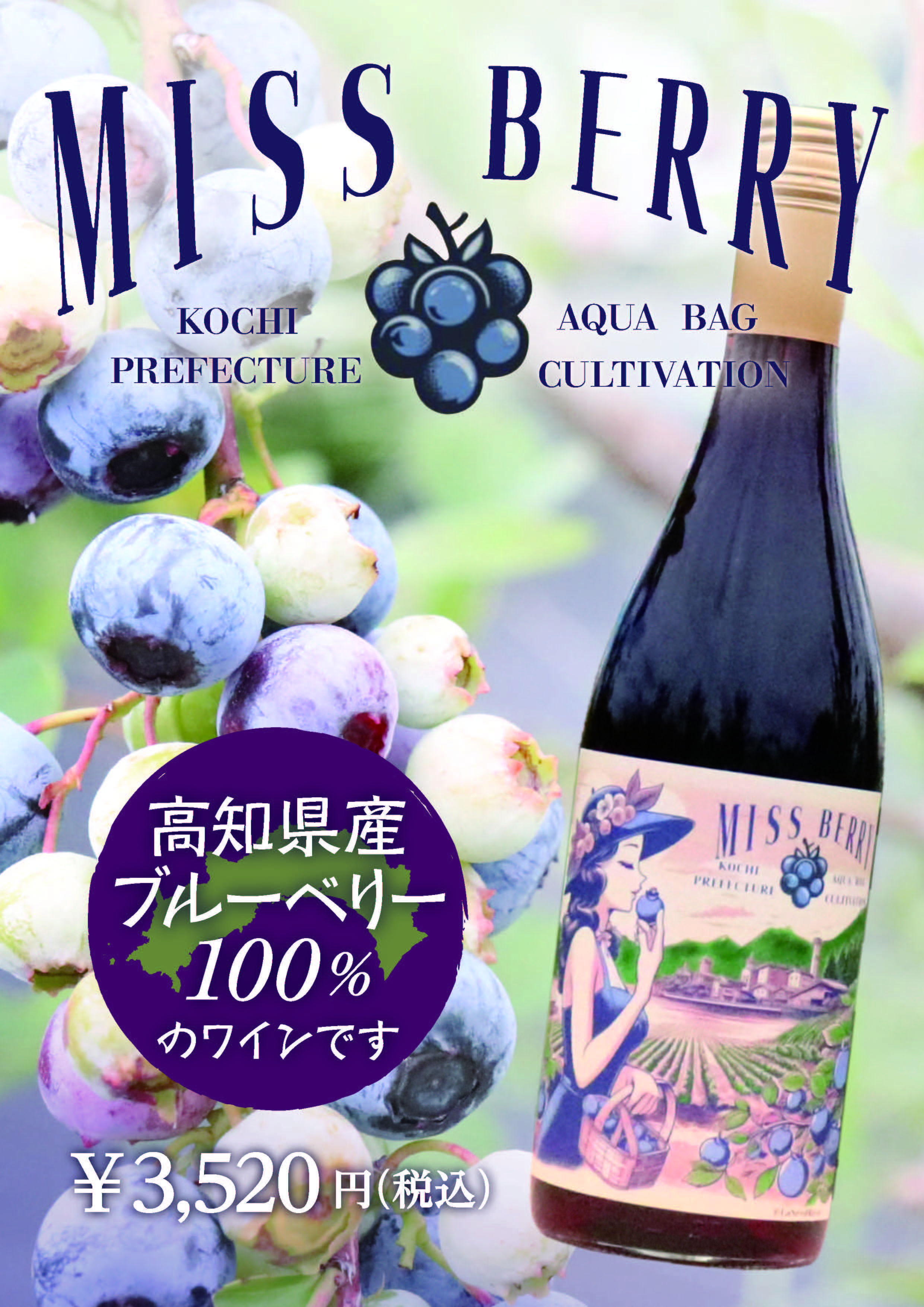 ブルーベリーワイン